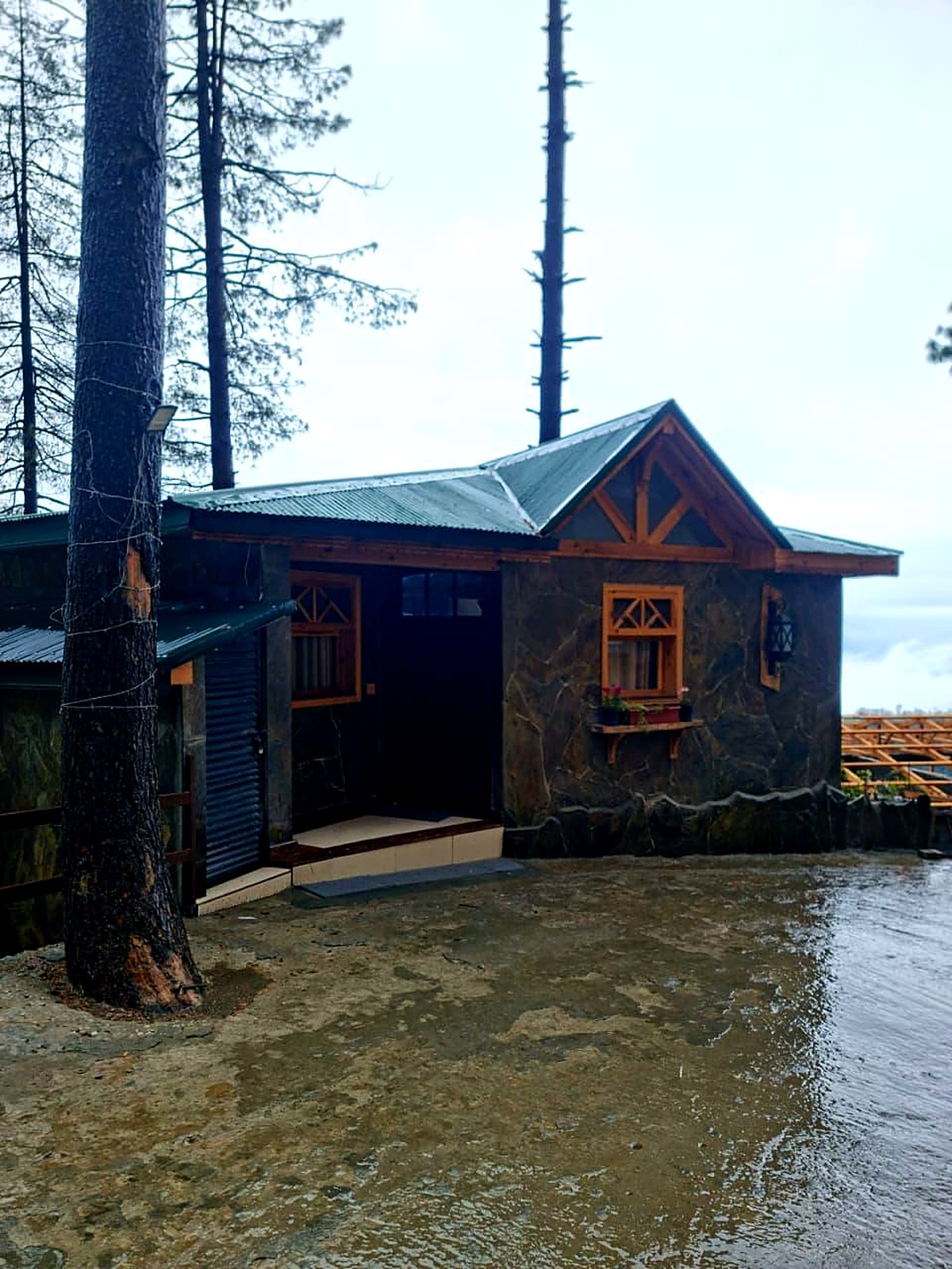 Stone chalet exterior among pine trees at Serenity Hilltop Homes