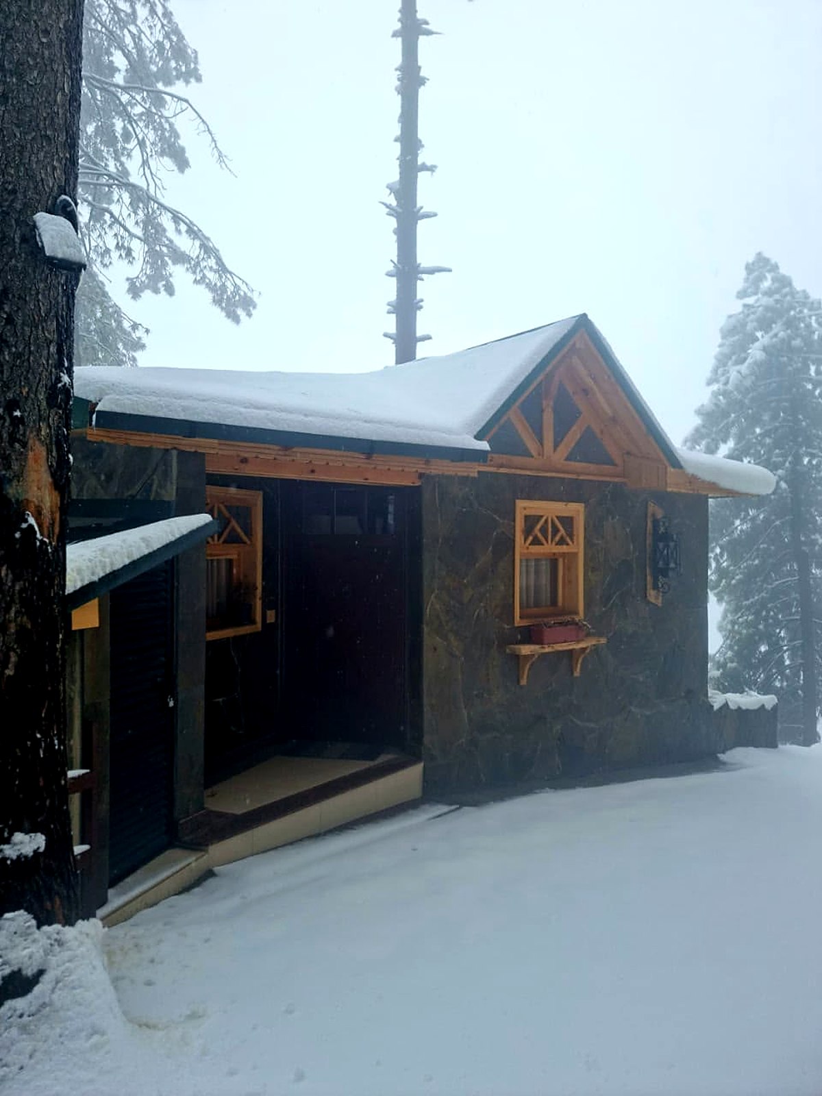 Snow-covered stone chalet among pine trees at Serenity Hilltop Homes